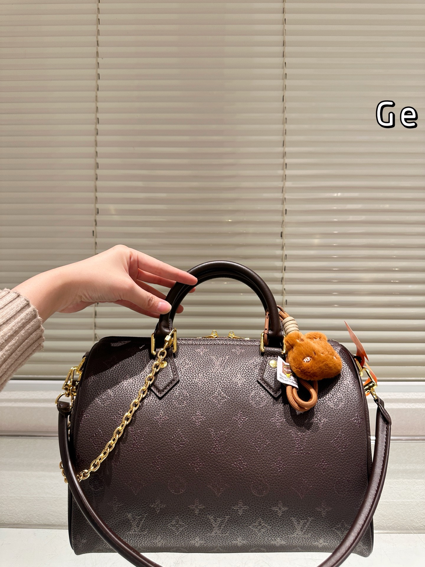 P180
LV Speedy枕头包
Lv speed