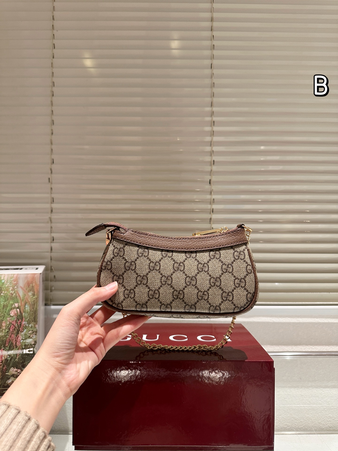 牛皮版本 P115
Gucci ophidia mini