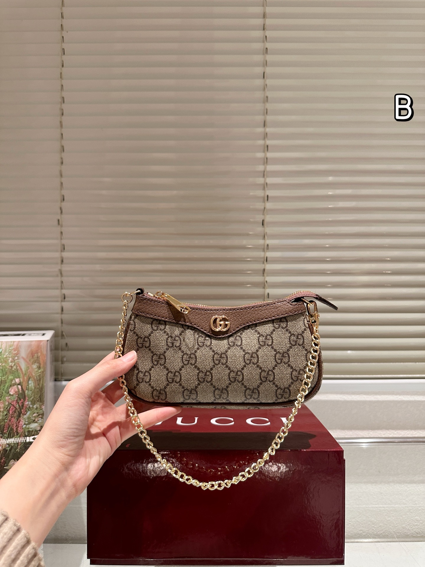 牛皮版本 P115
Gucci ophidia mini