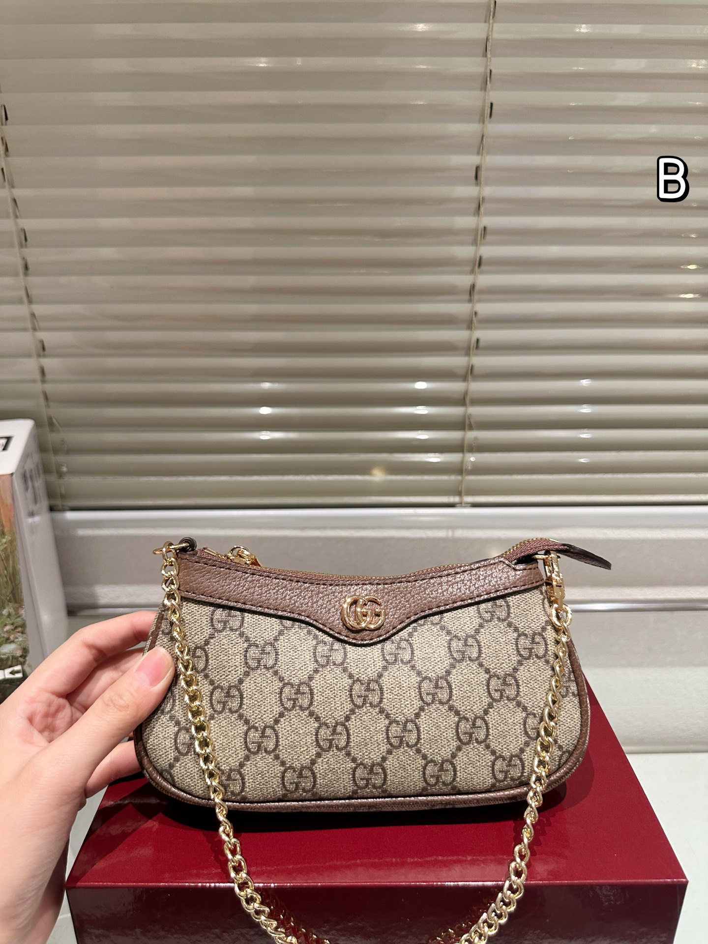 牛皮版本 P115
Gucci ophidia mini