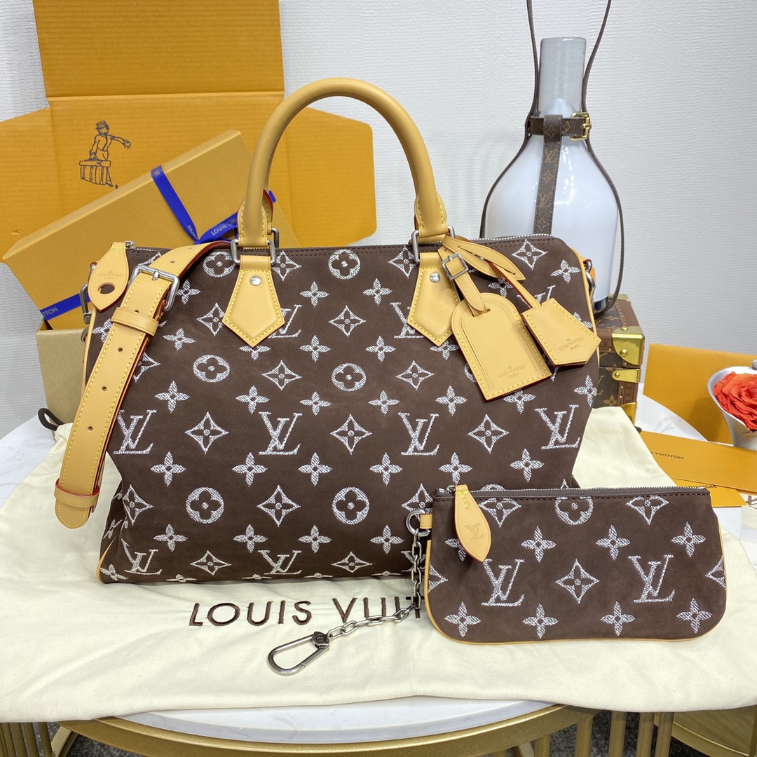 루이비통(버드케이지) M11569 가방 Louis Vuitton Bag