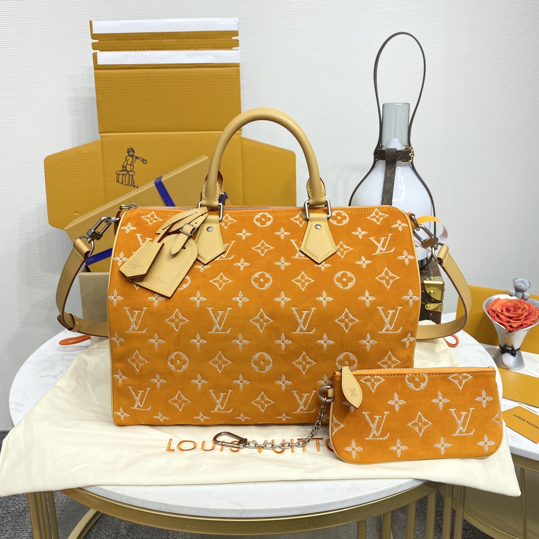 루이비통(버드케이지) M24419 가방 Louis Vuitton Bag
