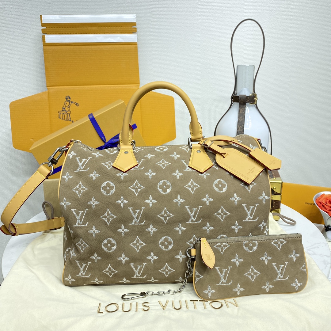 루이비통(버드케이지) M11569 가방 Louis Vuitton Bag