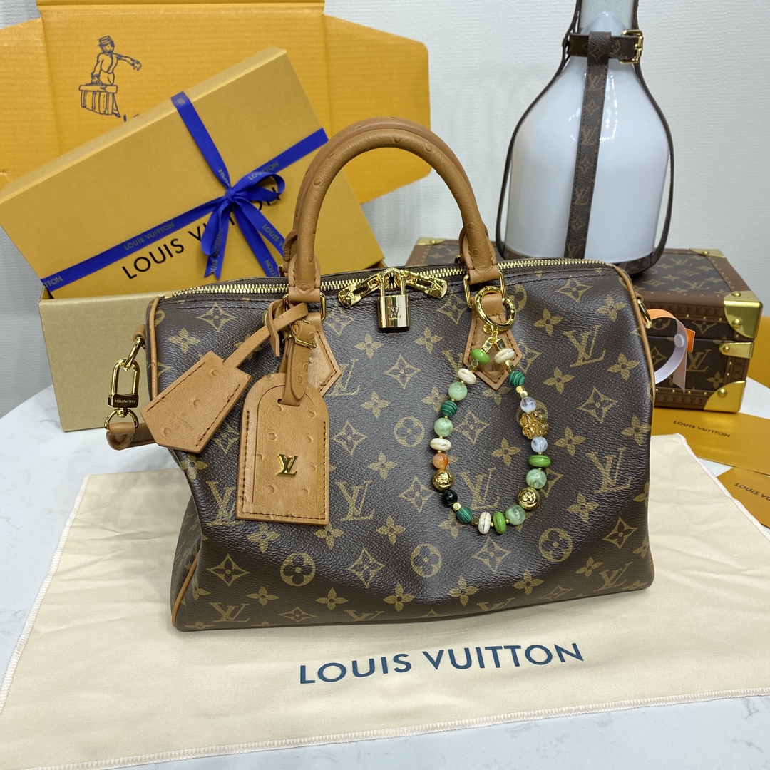 루이비통(버드케이지) N87212 가방 Louis Vuitton Bag