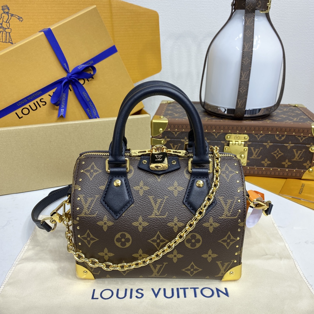 루이비통(버드케이지) M13146 가방 Louis Vuitton Bag
