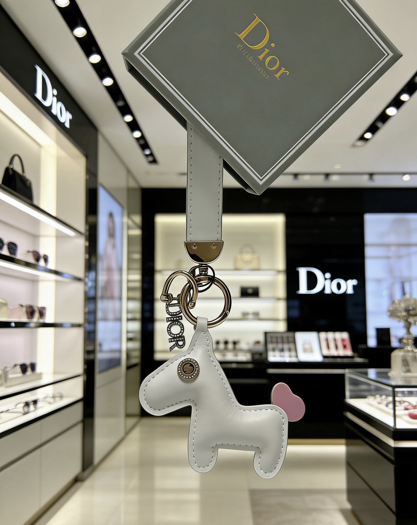 Dior 新品发布 迪奥 钥匙扣 包包扣 最新款包包挂饰档次更高 Anger Forest系列 款联名设计理念钥匙扣系列