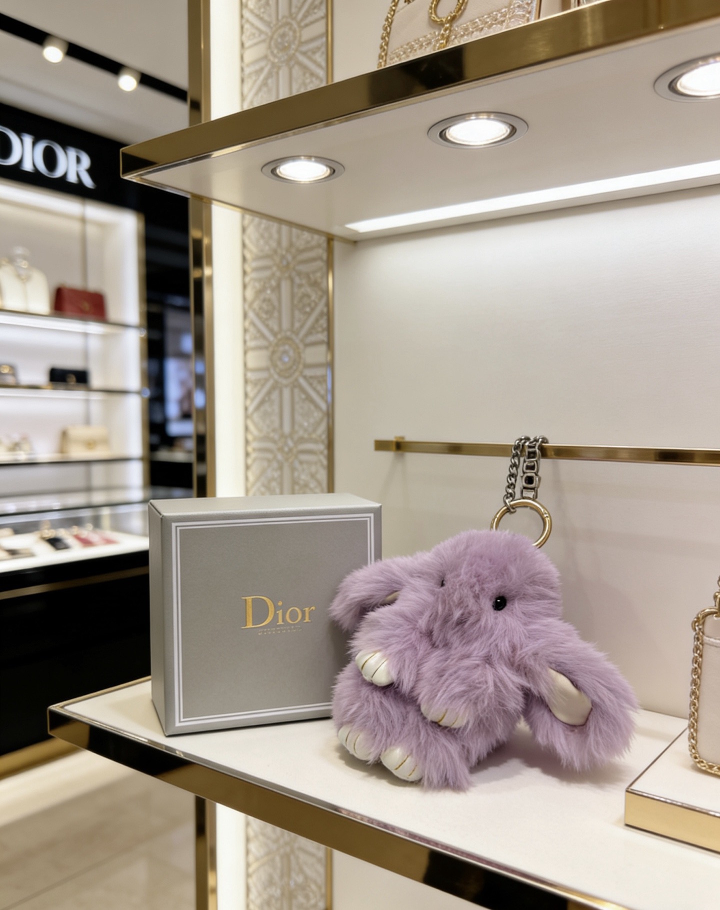 Dior 新品发布 迪奥 钥匙扣 包包扣 最新款包包挂饰档次更高 Anger Forest系列 款联名设计理念钥匙扣系列