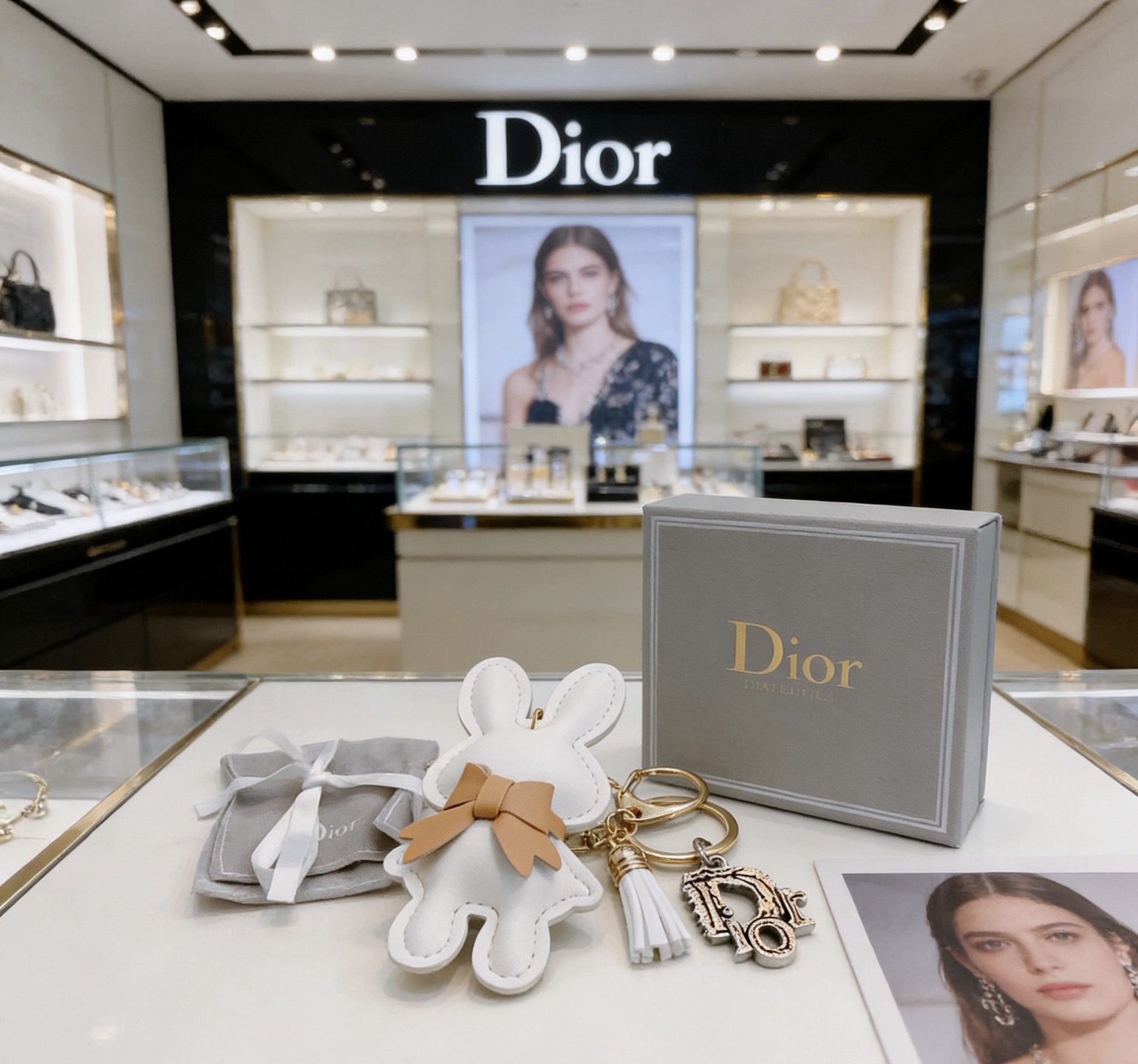 Dior 新品发布 迪奥 钥匙扣 包包扣 最新款包包挂饰档次更高 Anger Forest系列 款联名设计理念钥匙扣系列
