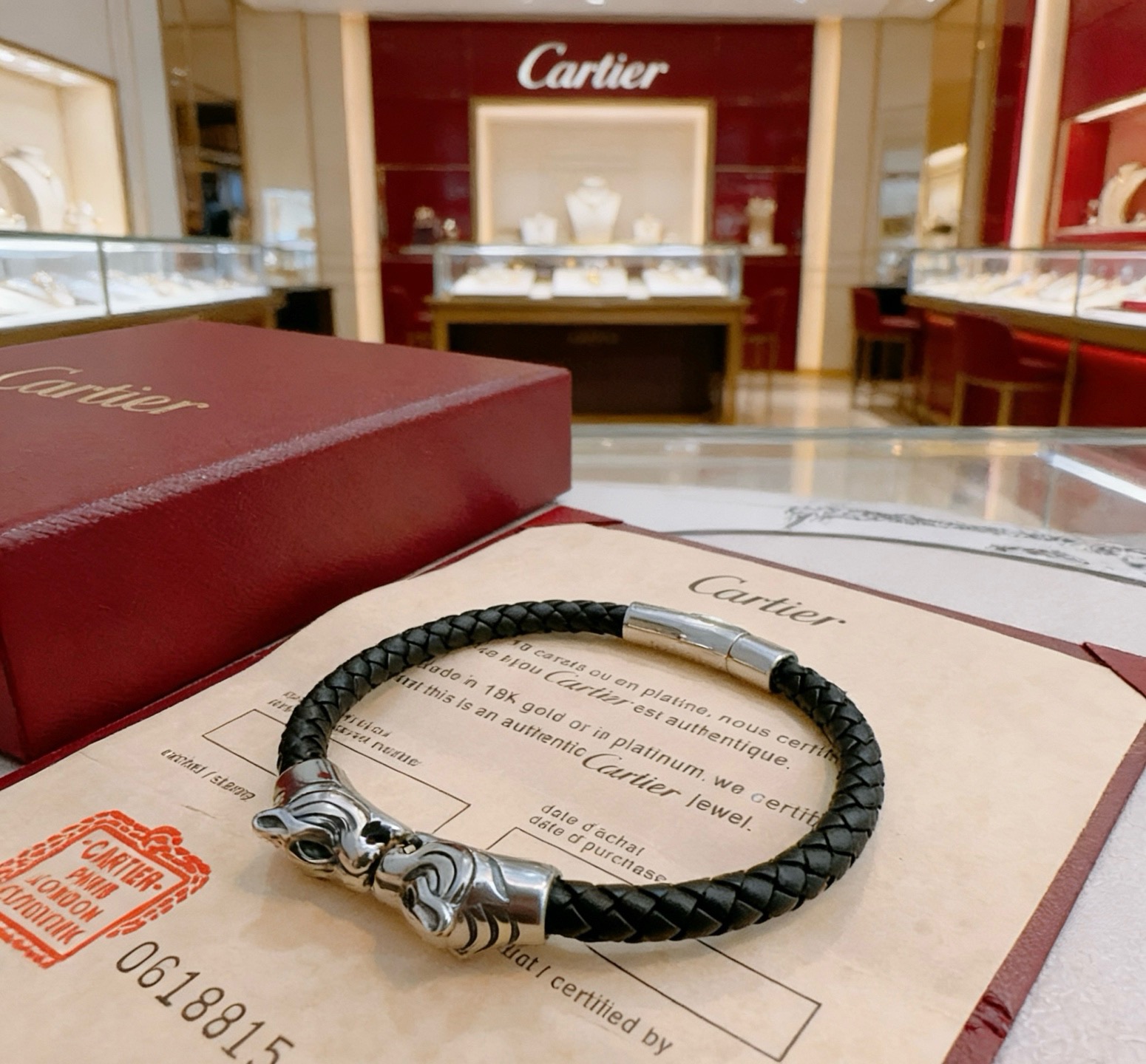 Cartier Haute Couture Haute Joaillerie Fine Jewelry Earrings Necklace 6