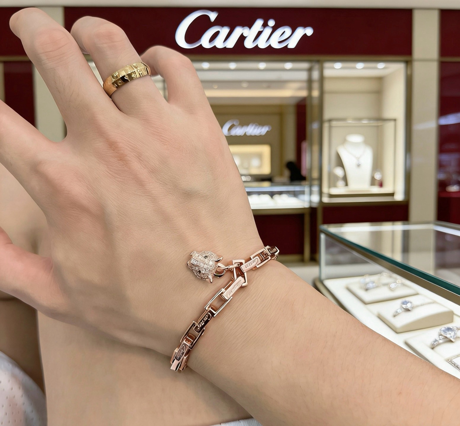 Cartier Haute Joaillerie Fine Jewelry Earrings Necklace Ring 8