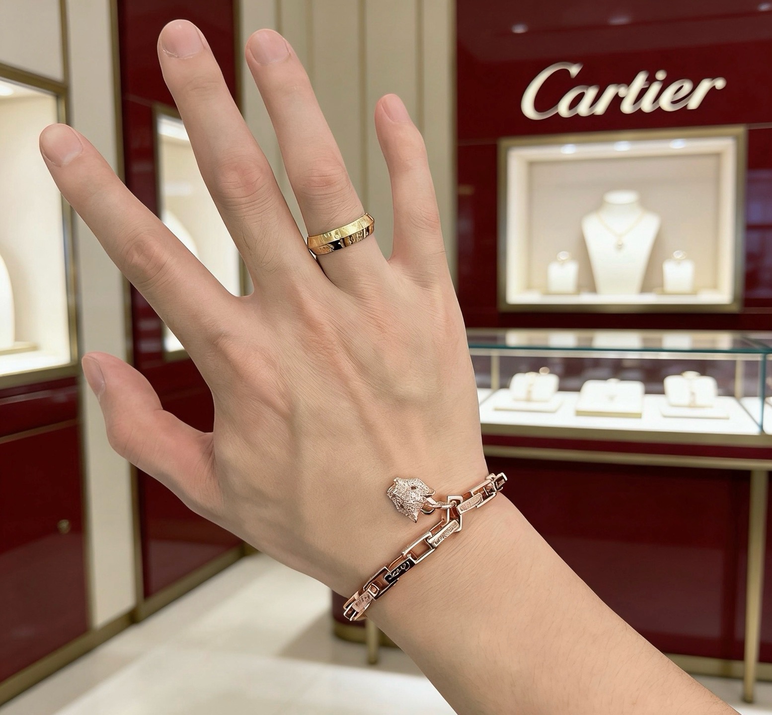 Cartier Haute Joaillerie Fine Jewelry Earrings Necklace Ring 4