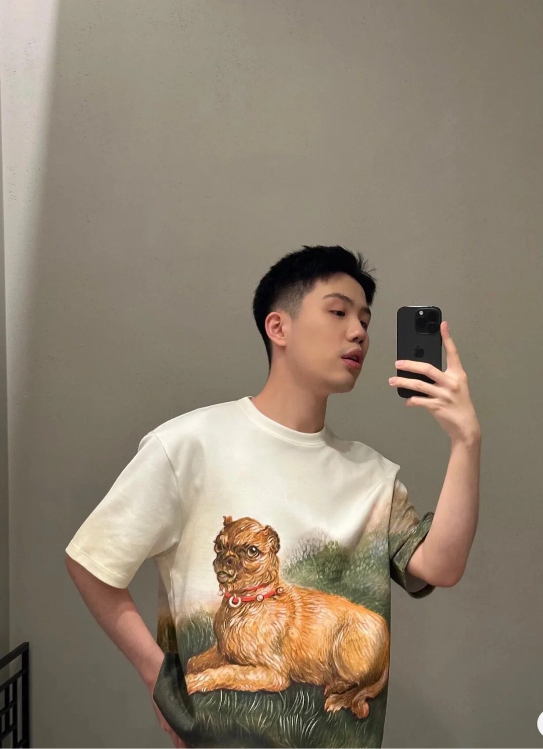 网图