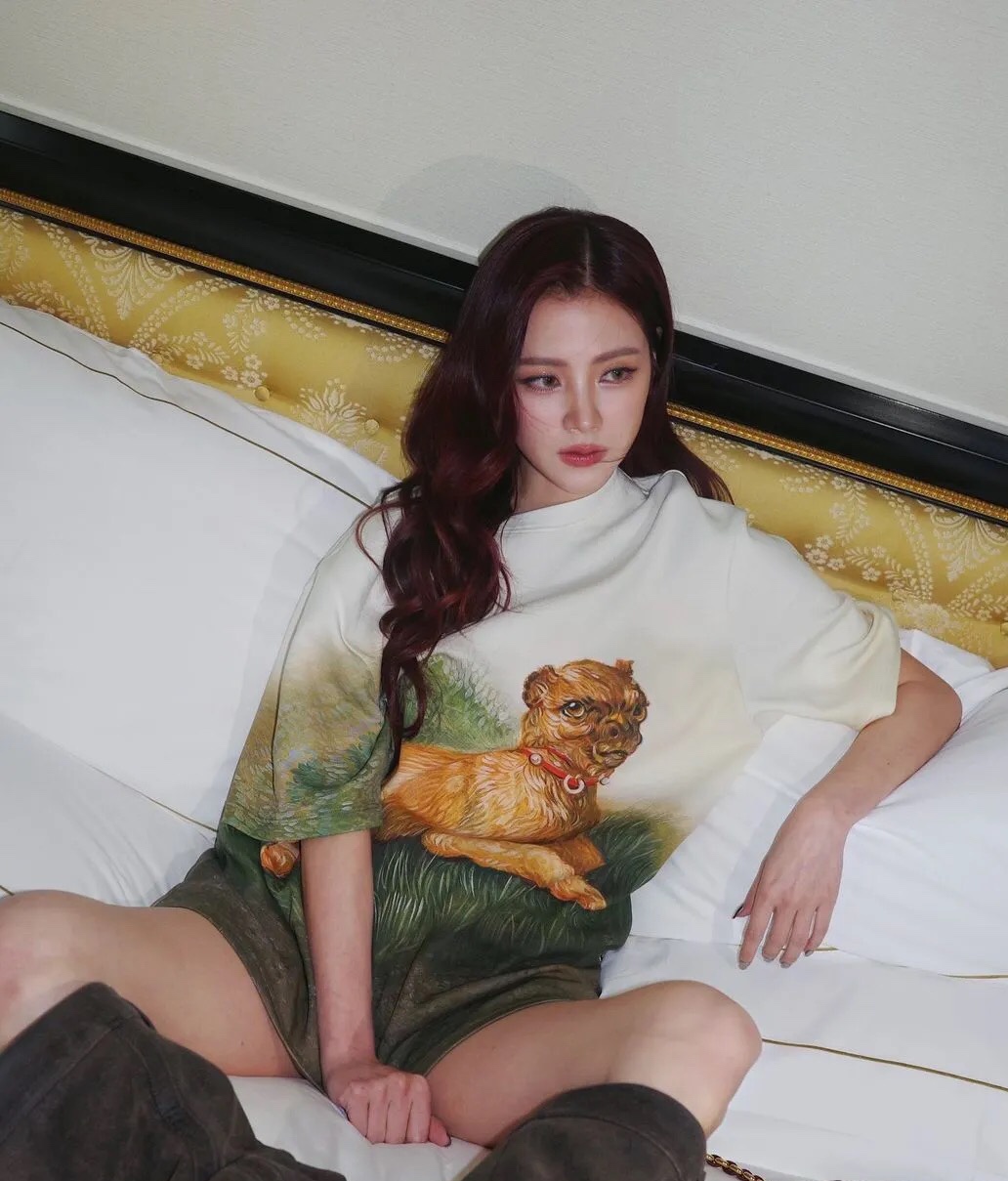 网图
