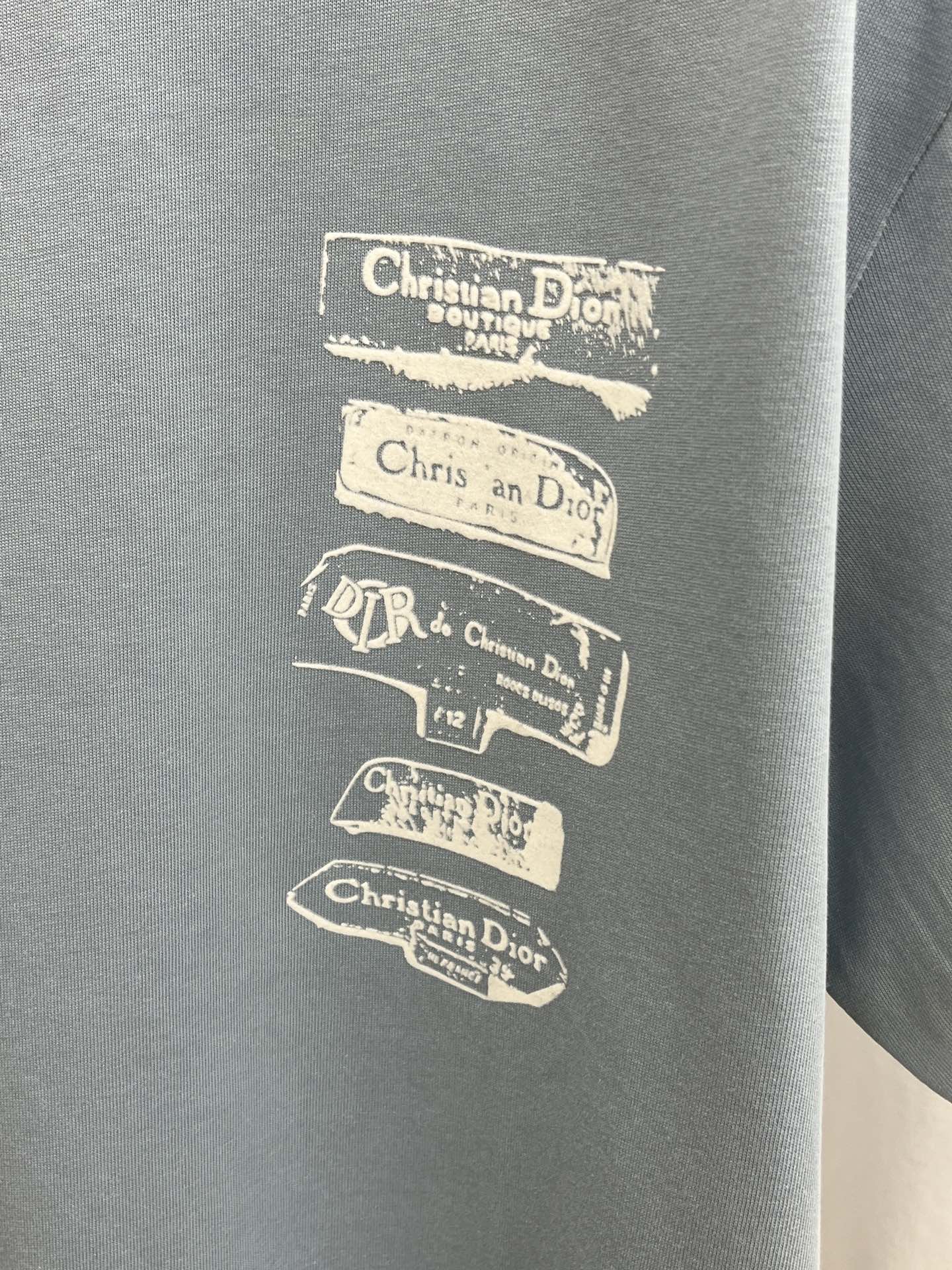 Dior Charm T-Shirt: Embroidered Logo, Limited Edition, Unisex Design 6 i1740682448 8790 1