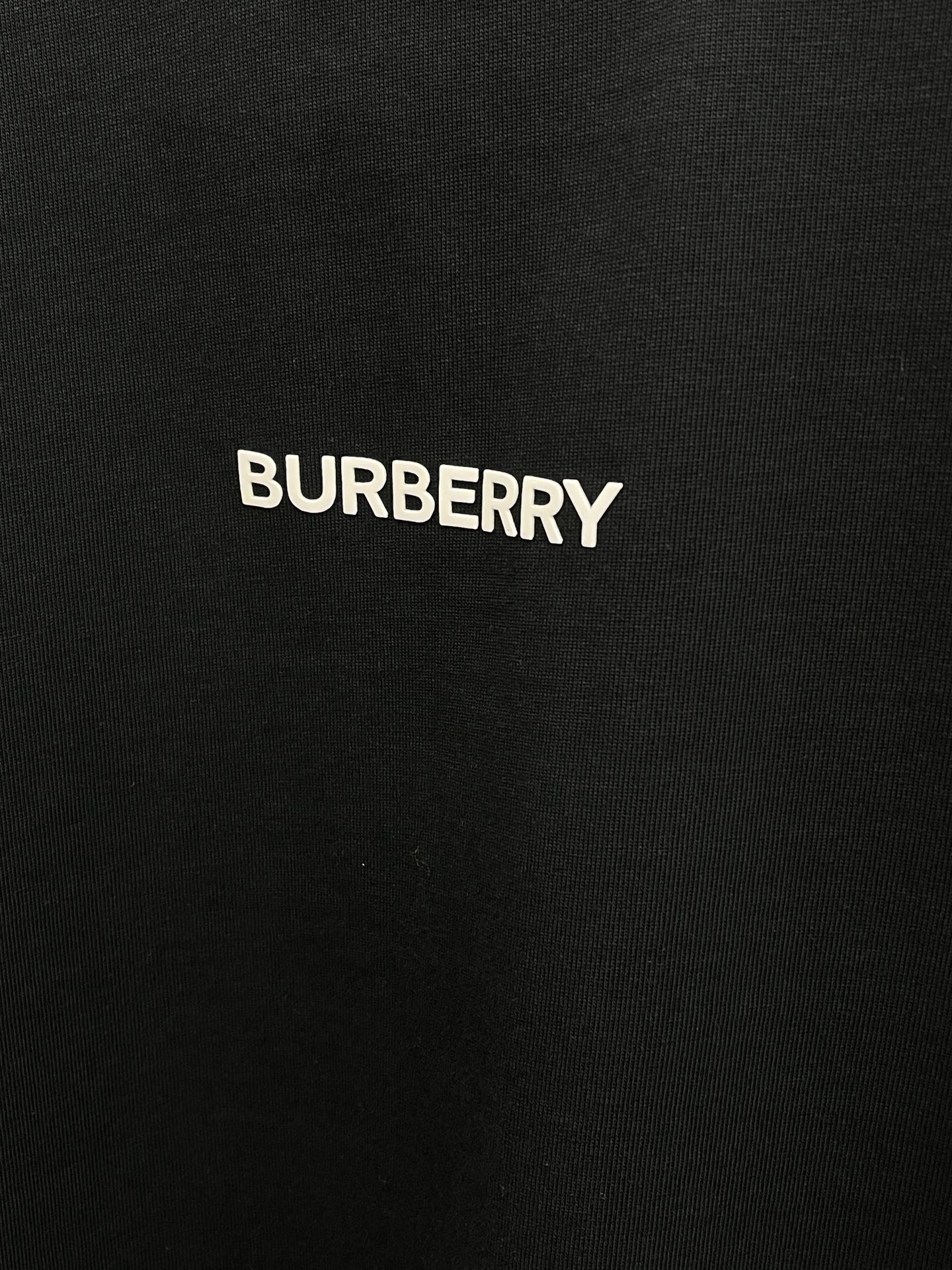 Burberry Logo Print Short Sleeve T-Shirt | Premium Cotton, Summer Collection 6 i1742501639 425 1
