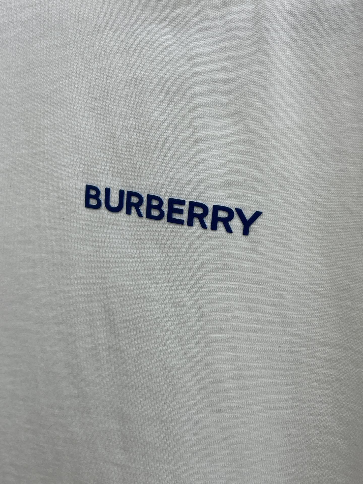 Burberry Graphic Logo Print Short Sleeve T-Shirt | Summer Essential 6 i1742501652 3274 4