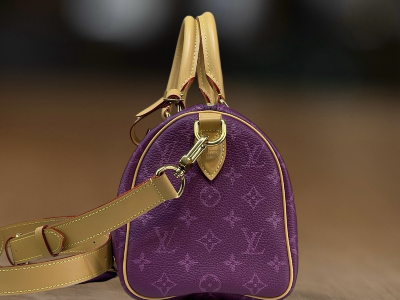 Сумка Louis Vuitton Speedy 25 с монограммой