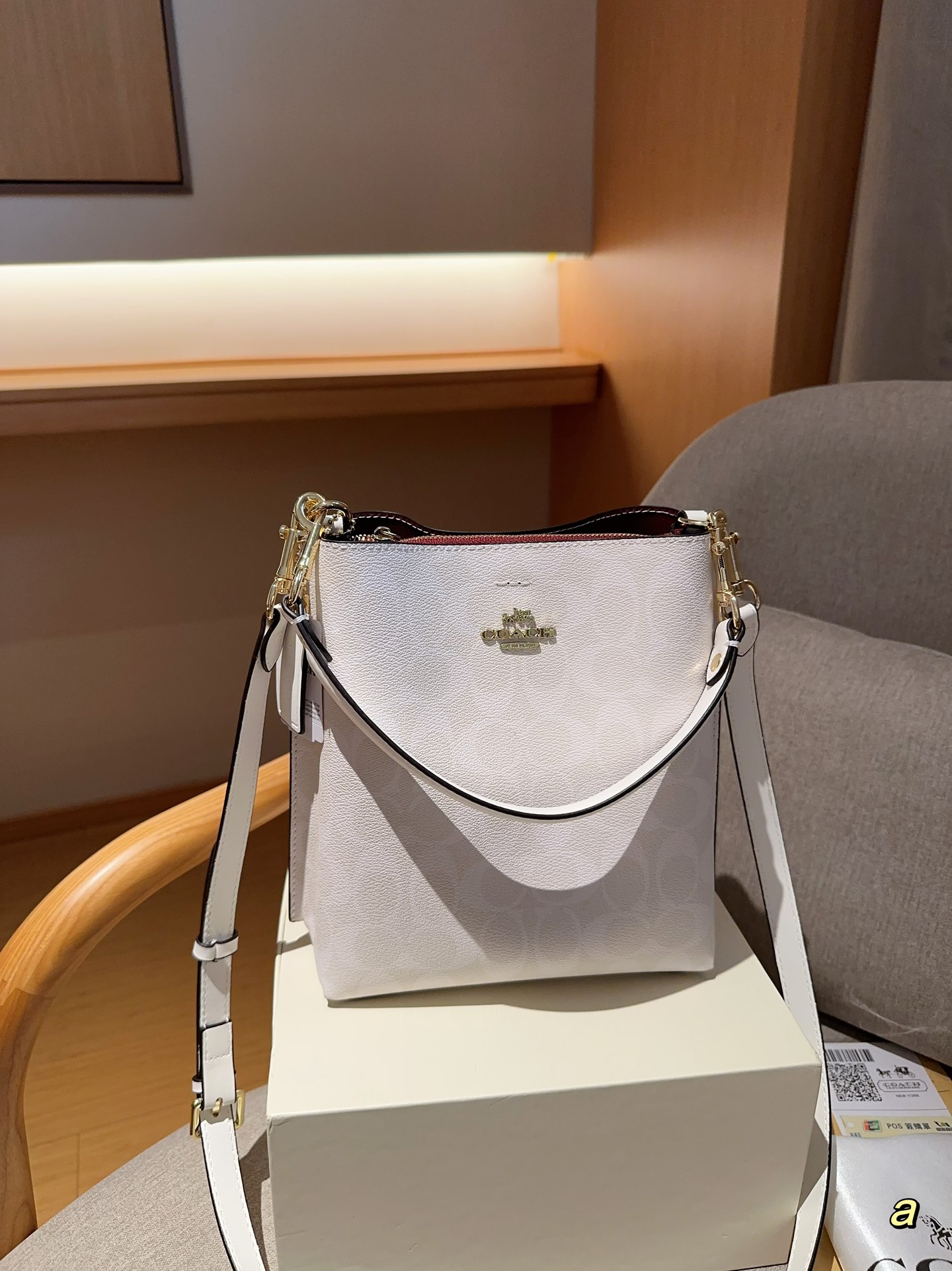 Coach Bucket Bags White Mollie