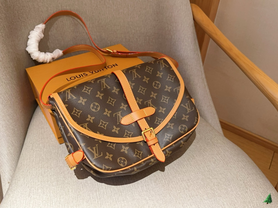 Louis Vuitton LV Saumur Sacs Besace