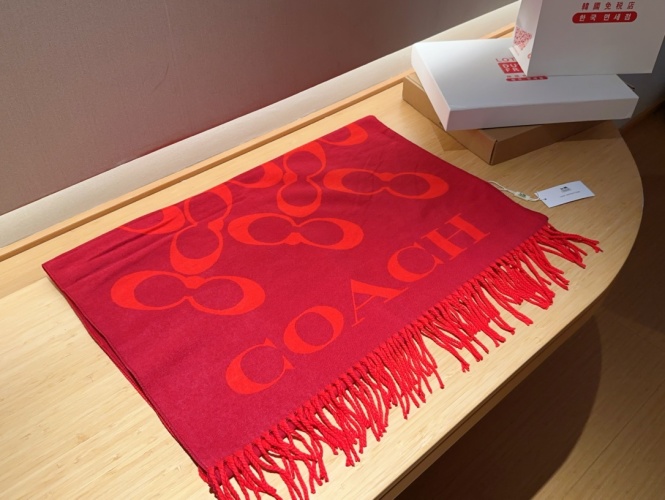 Coach Scarf Cashmere Fall/Winter Collection 1 Coach Scarf Cashmere Fall/Winter Collection