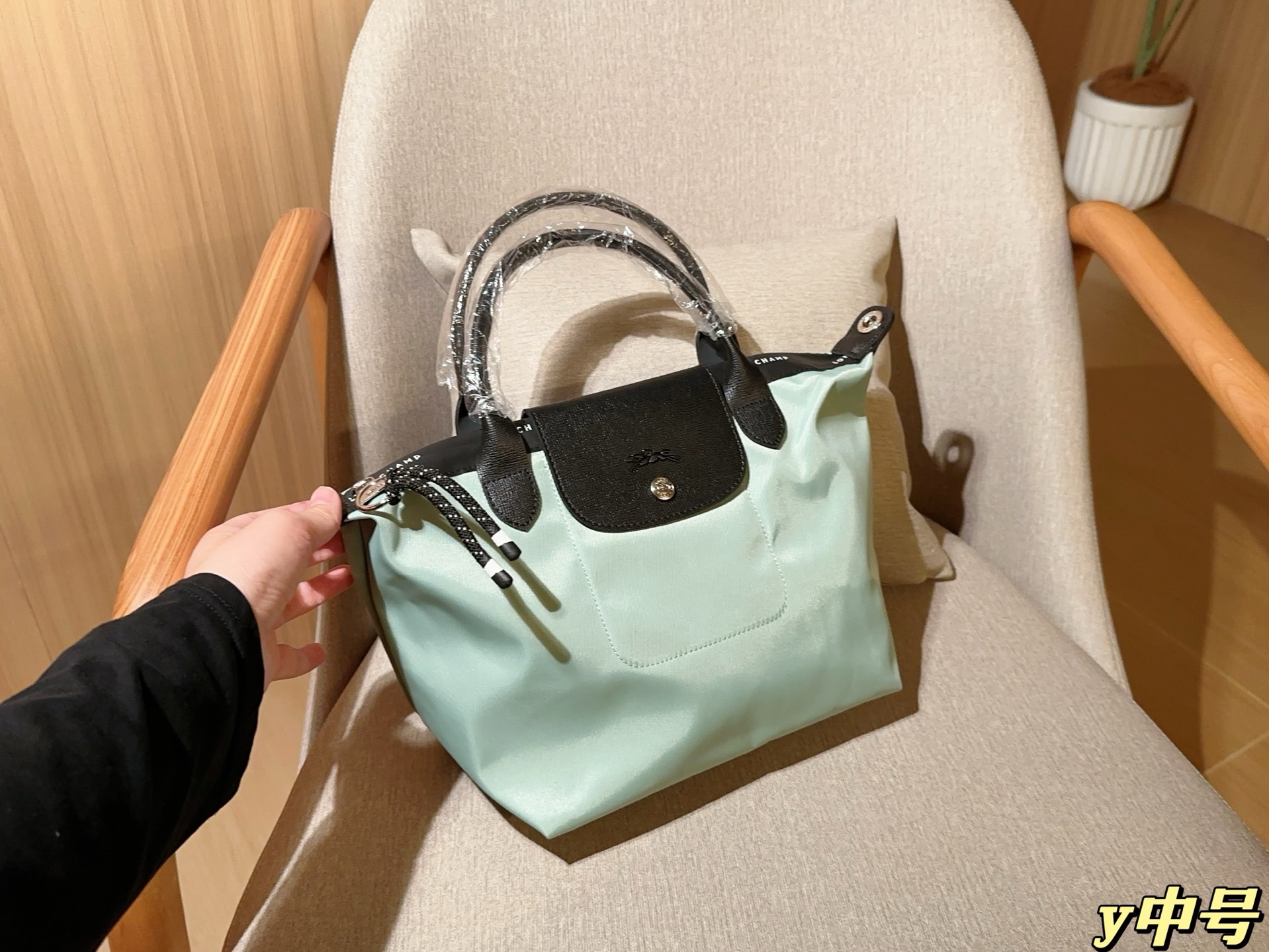 💰175
中号无盒
Longchamp珑骧
Energy新品帆布化妆包开合手提包
饺子包
尺寸：24cm