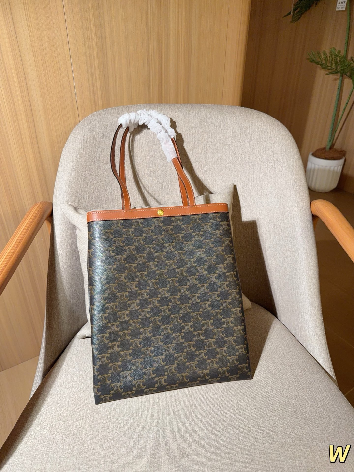 Celine Tote Bag 09949