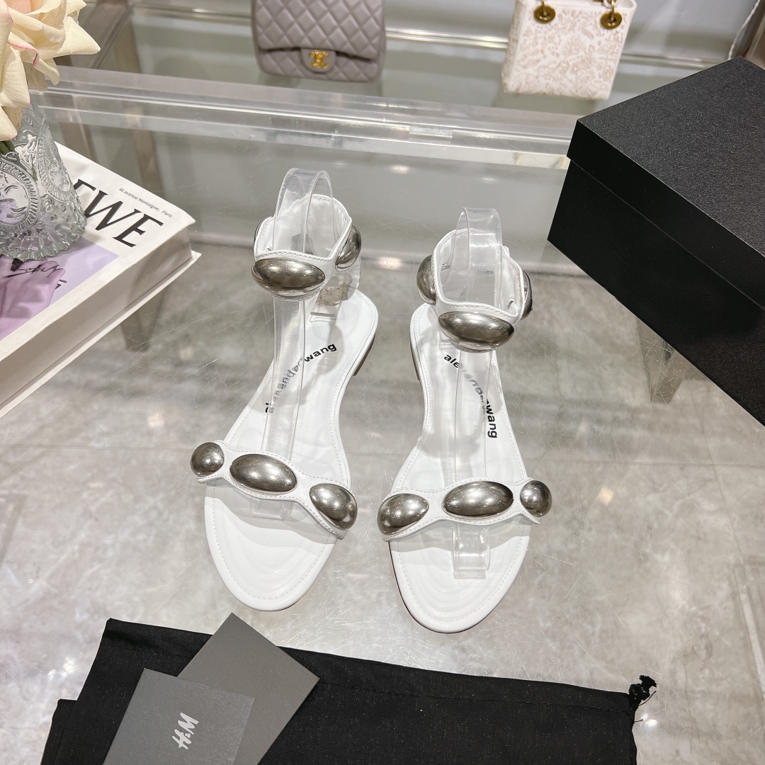 Luxurious 2024 Shoe Collection by Alexand Wang: Original Design, Premium Materials.