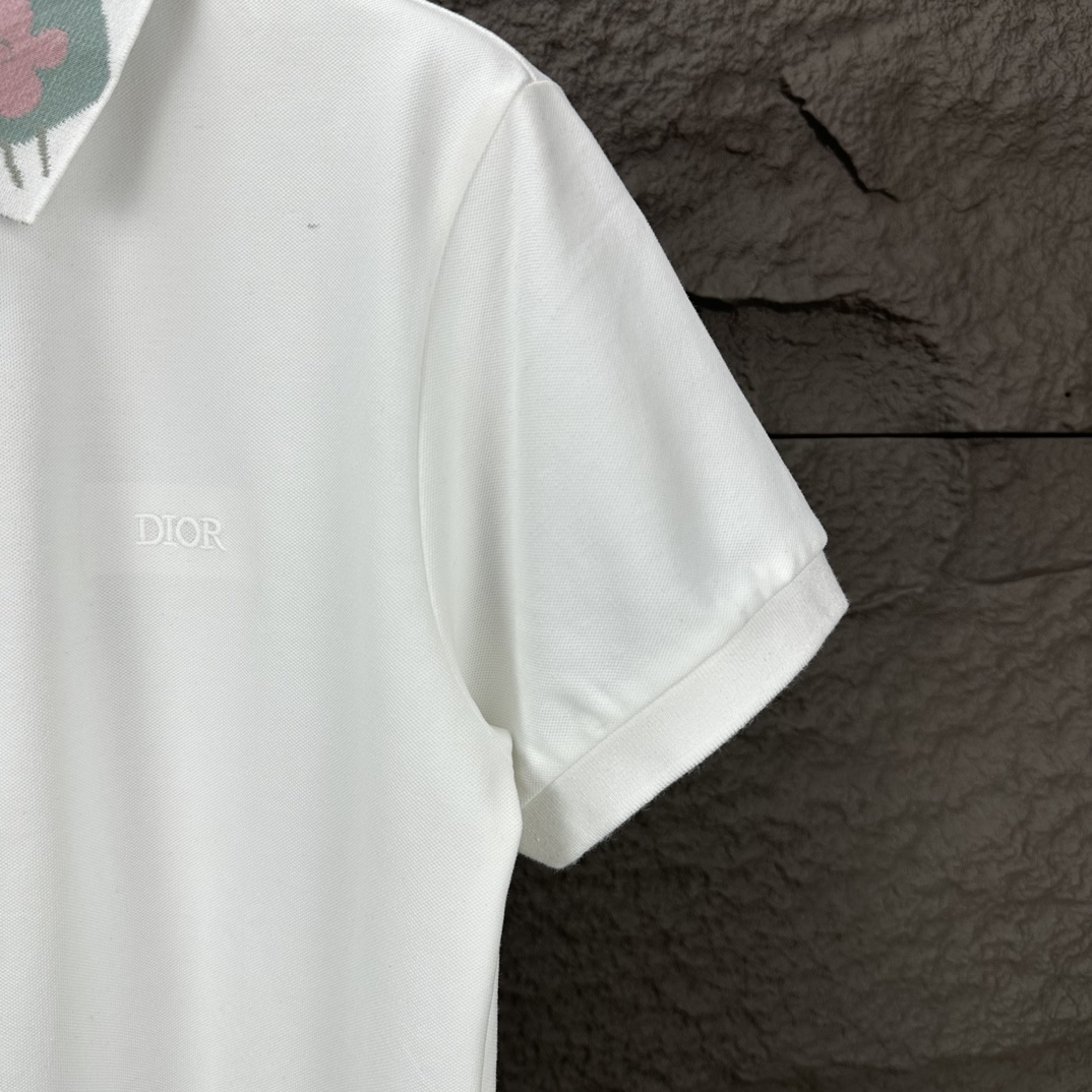迪奥2024新款刺绣字母情侣款翻领POLO衫 3