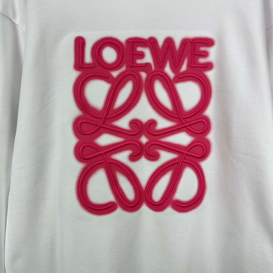 Loewe2024 Puffer Jacket: High-End Fashion with Million Needle Embroidery - 图片 5