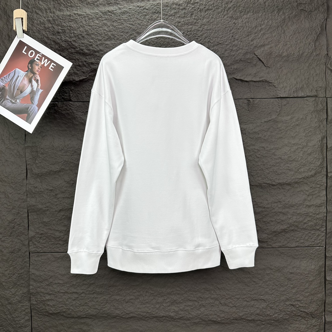 DIORdeo 2024 High-End Hand-Drawn Logo Couple’s Apparel: Features and Options - 图片 2