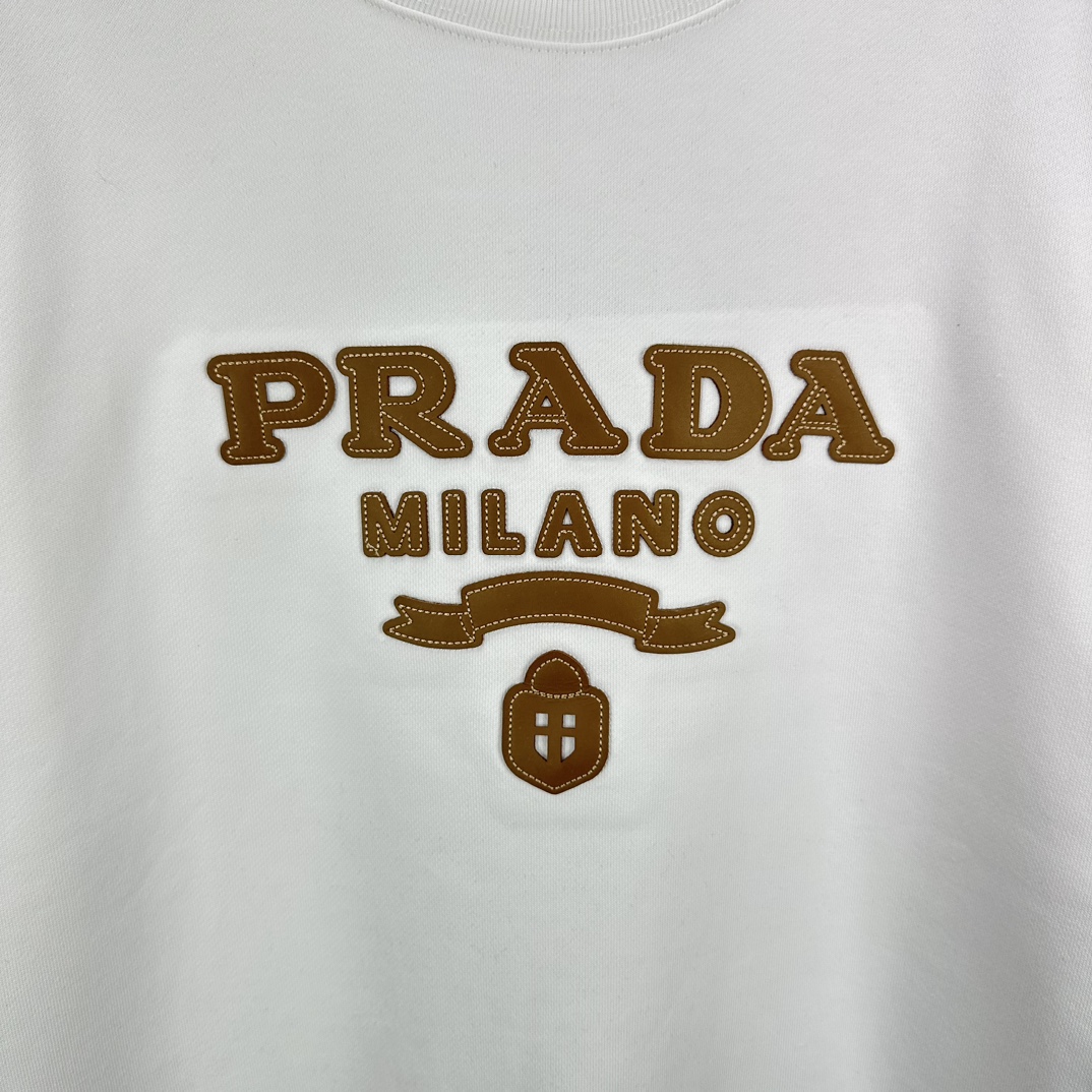 2024 Prada Platinum Logo Fabric Jacket: High-End Fashion for Men and Women - 图片 6
