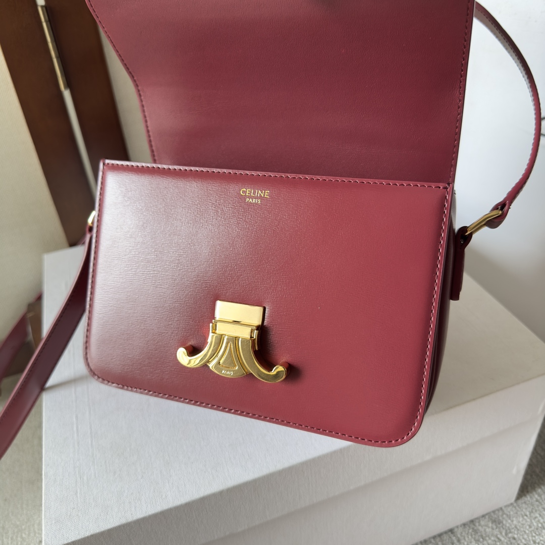 Celine Teen Triomphe Bag in Rubis Leather Crossbody Shoulder Bag 7 i1699016077 9040 5
