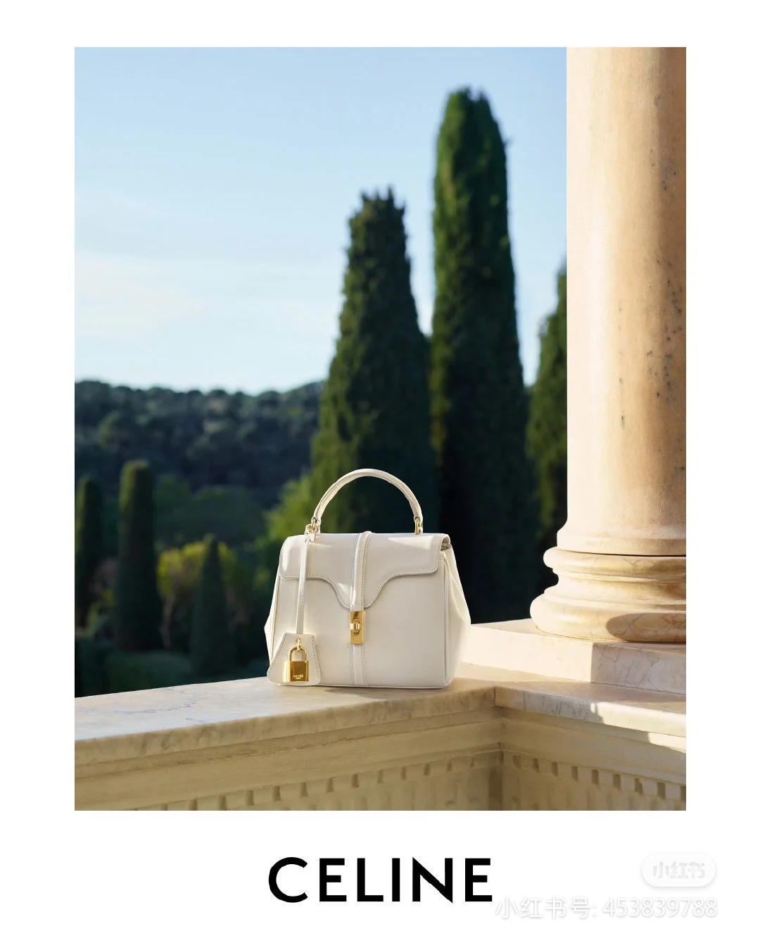 NO:210621,Celine Princess Series French Style, Celine, Celine, Celine19860909Celine公主系列法式风情,赛琳celine,celine,celine,Bag