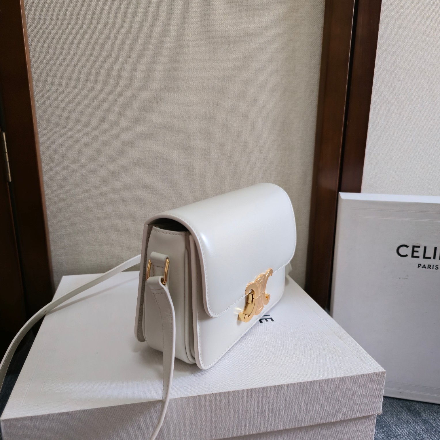 Celine Style Leather Bag Lookbook Reference image 2