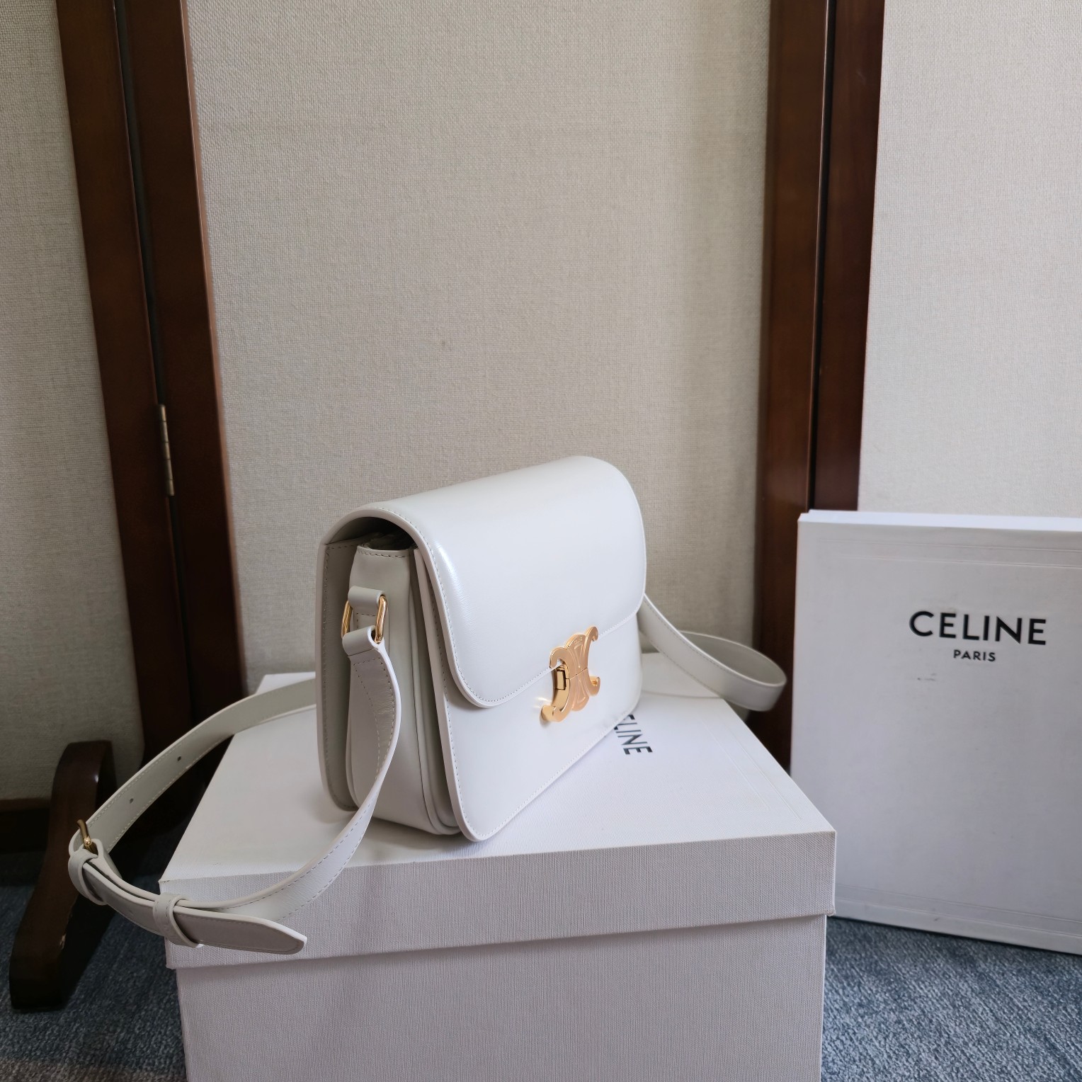Celine Style Leather Bag Lookbook Reference image 2