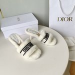 Dior Shoes Slippers Embroidery