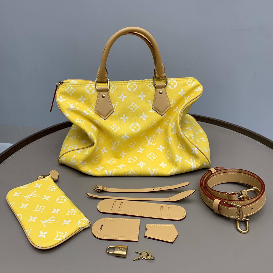 루이비통 M24419 가방 Louis Vuitton Bag