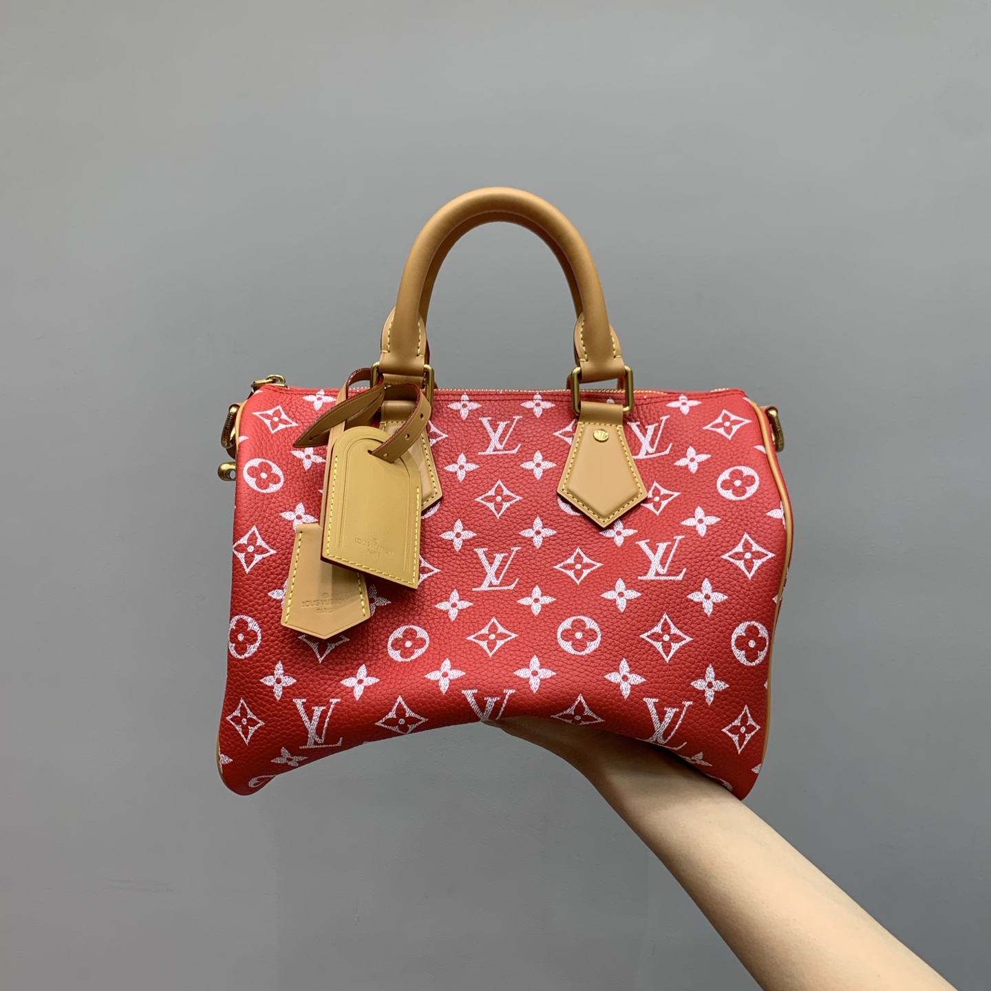 루이비통 M14067 가방 Louis Vuitton