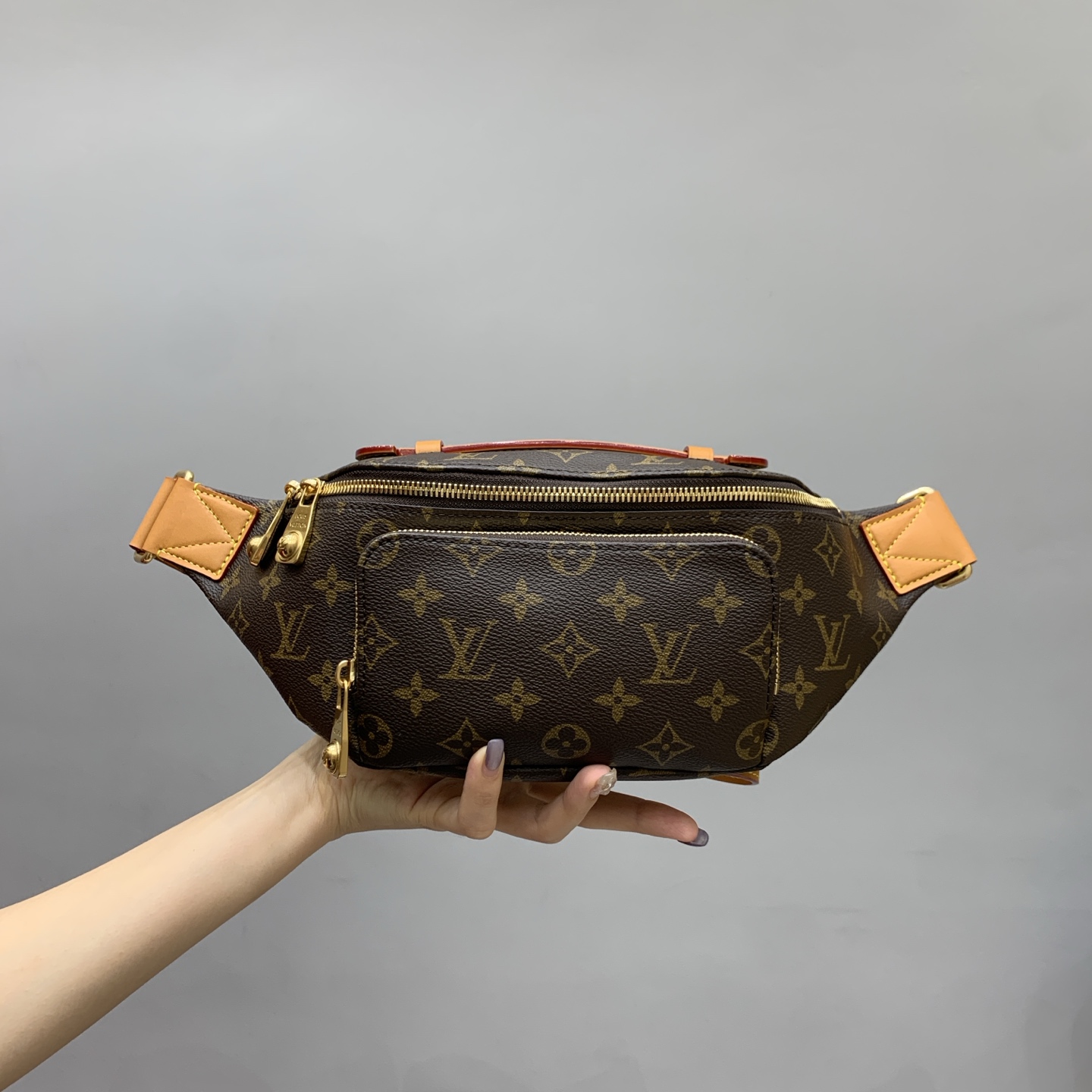 루이비통 M14019 가방 Louis Vuitton