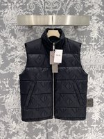 Dior Clothing Waistcoat Black Grey Purple White Unisex Silk Goose Down Fall/Winter Collection