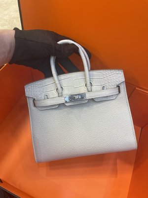 Hermes Birkin Bags Handbags White Silver Hardware