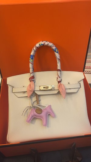 Hermes Birkin Bags Handbags Milkshake White Gold Hardware