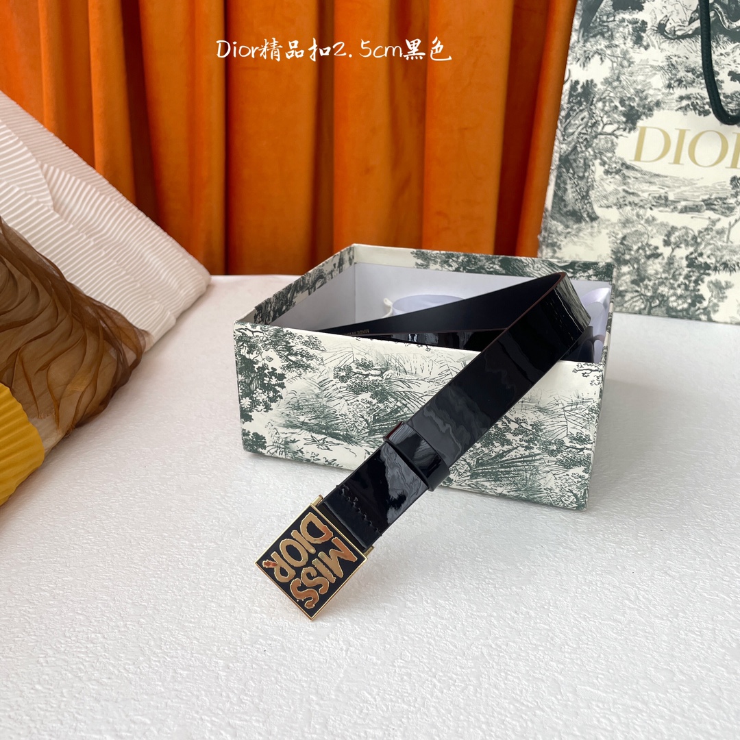 디올 벨트 59795 Dior Belt