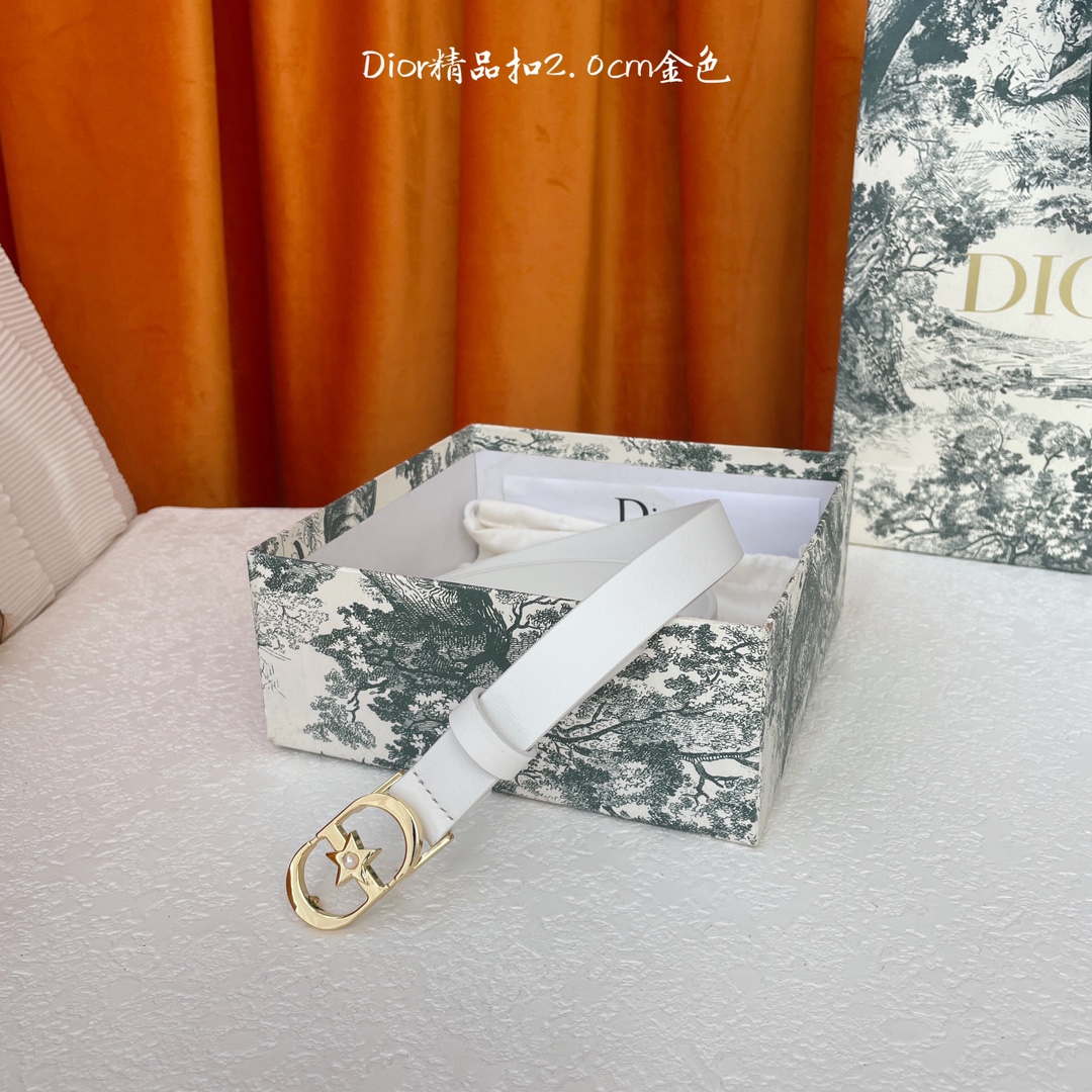 디올 벨트 59800 Dior Belt