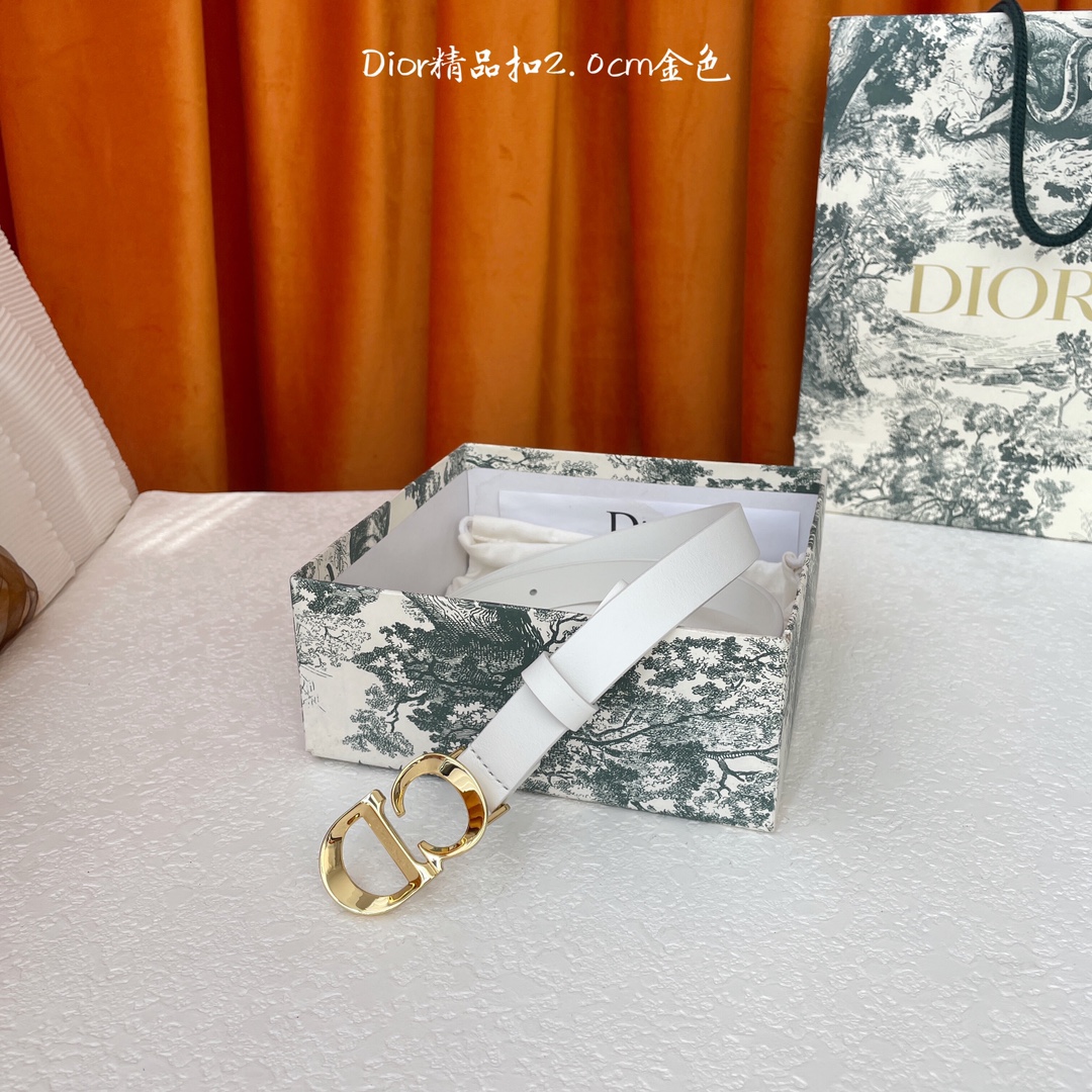 디올 벨트 59802 Dior Belt