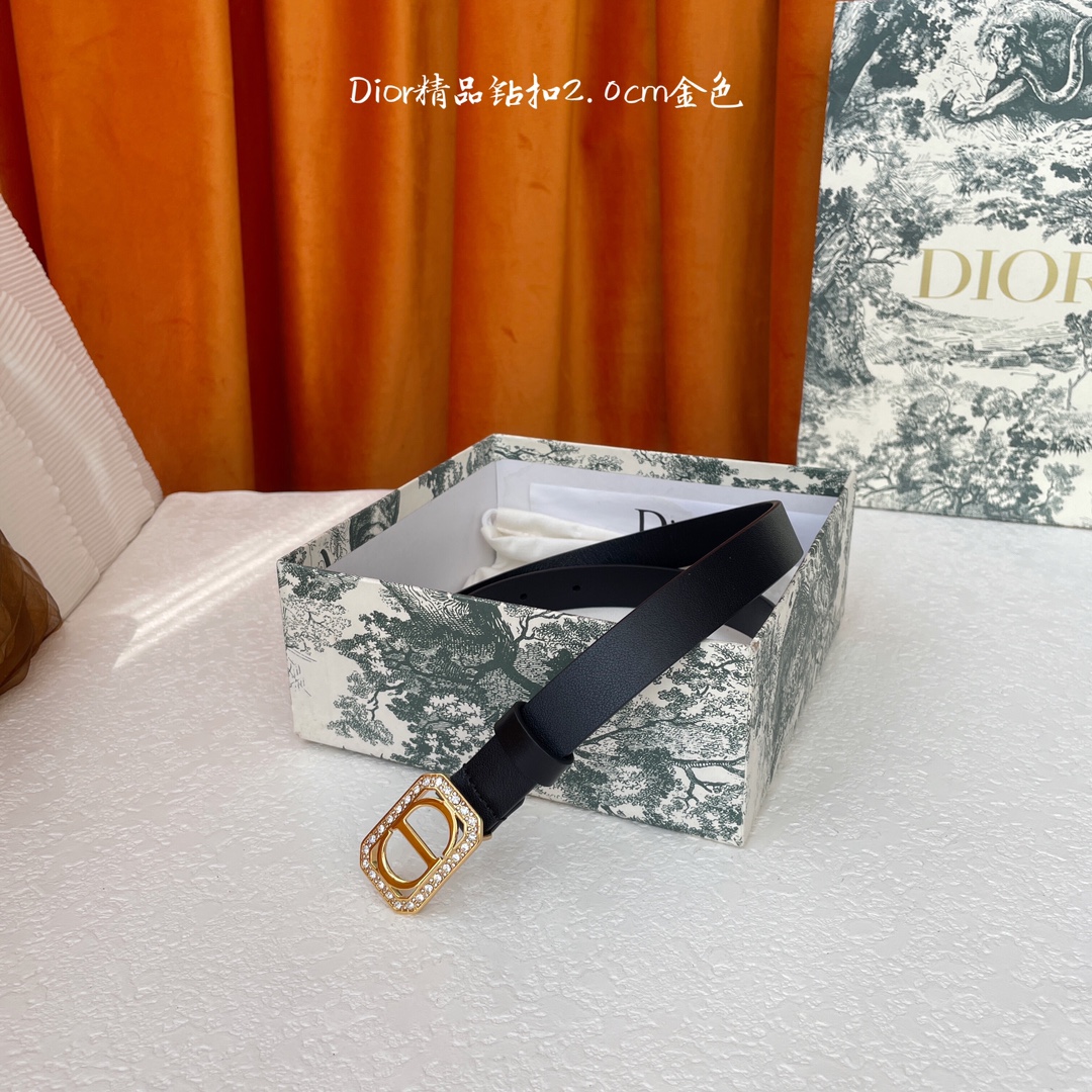 디올 벨트 59807 Dior Belt