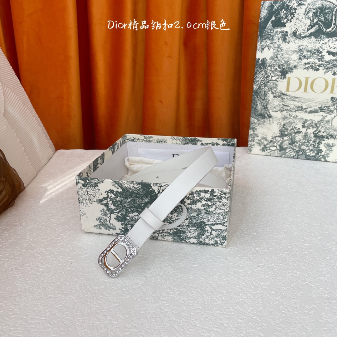 디올 벨트 59806 Dior Belt