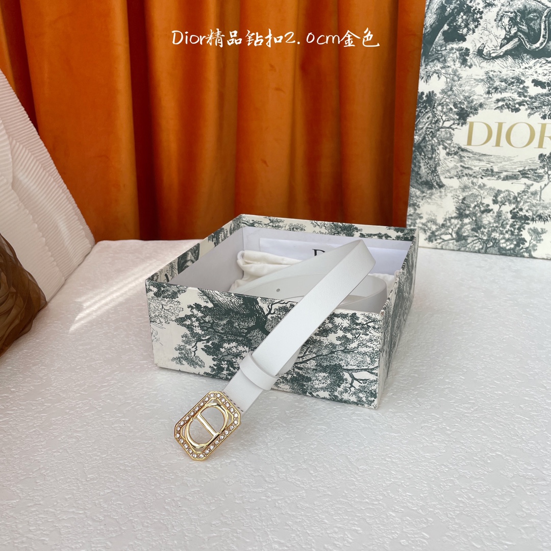 디올 벨트 59805 Dior Belt