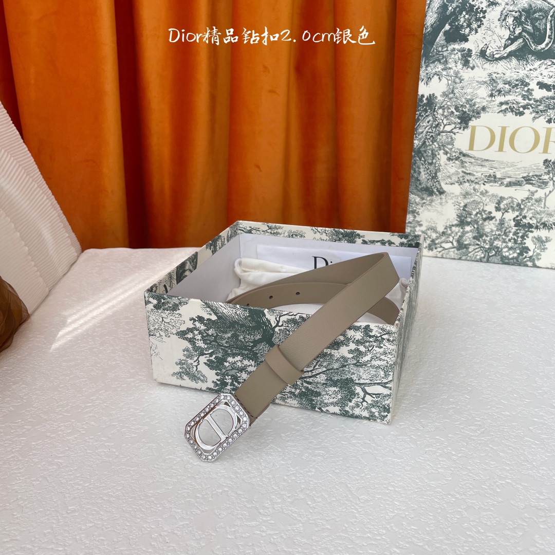 디올 벨트 59804 Dior Belt