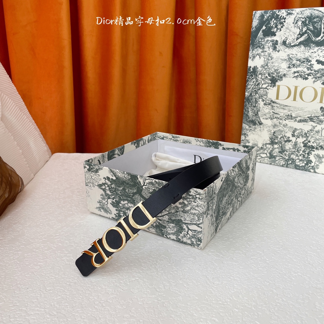 디올 벨트 59797 Dior Belt